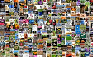 图像，照片，照片集，相册，马赛克