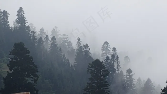 乔治亚州，山脉，雾