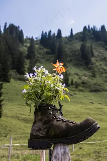 山，高山，鞋，鲜花，装饰