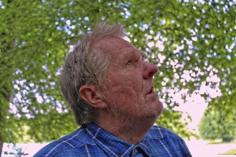 脸，肖像，搜索，寻求，问问，无家可归，男人