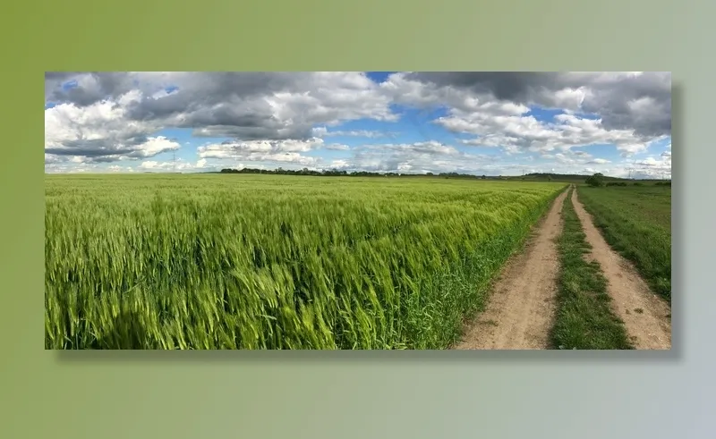 离，田野，车道，景观，自然，云团，耕地