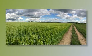 离，田野，车道，景观，自然，云团，耕地