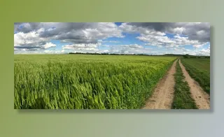 离，田野，车道，景观，自然，云团，耕地