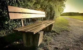 银行，太阳，背光，孤独，休息，坐，夏天