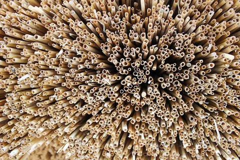 施罗，吸管，哈姆