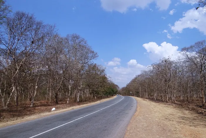 街道，公路，公路，道路，交通，路线