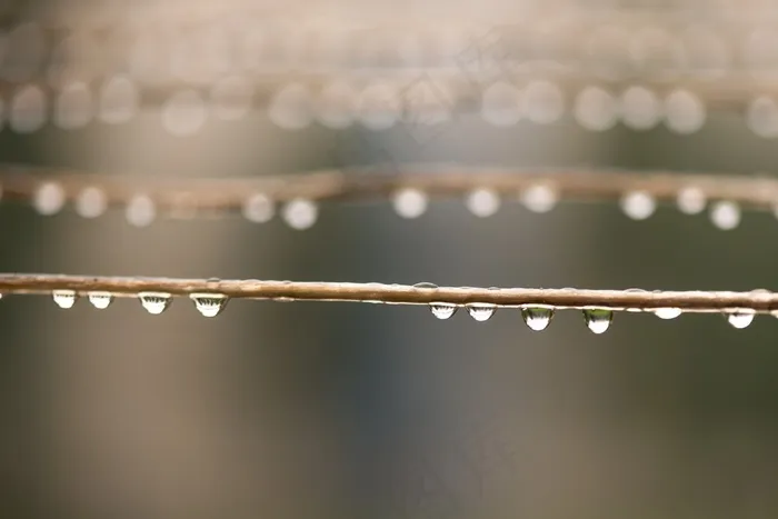 水滴，珍珠，镜子，雨，线，线，夏天，详细信息