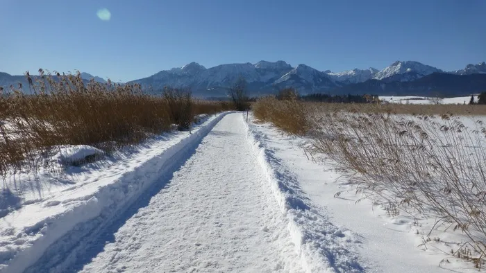 离，湖泊，巴伐利亚，阿尔高，蓝天，雪，全景图