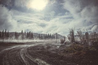 田野，花园，冬天，景观