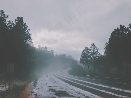 道路,公路,雪,冬季,护栏,树木,森林 道路,公路,雪,冬季,护栏,树木,森林
