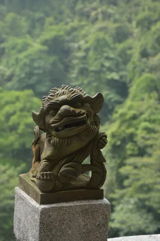 石狮，古代石狮，美丽的石狮