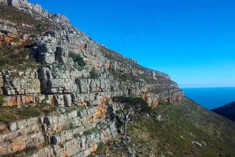 桌山，非洲，山，旅行，自然，开普