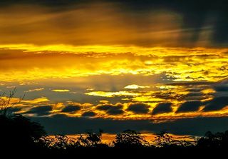 日落，天空，橙色，金色，黄色，灰色，云