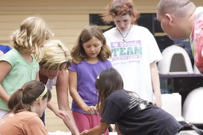人物特写,亲子装,全家福,美女,小组合作