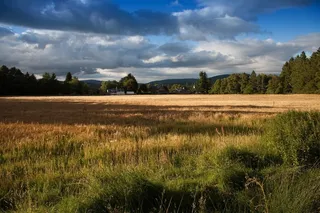 农村，草，自然，字段，户外，草地