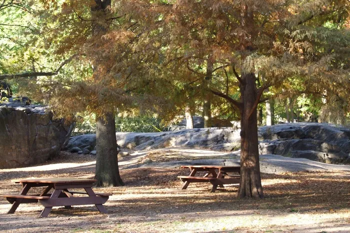 纽约，城市，建筑，街，天空，纽约