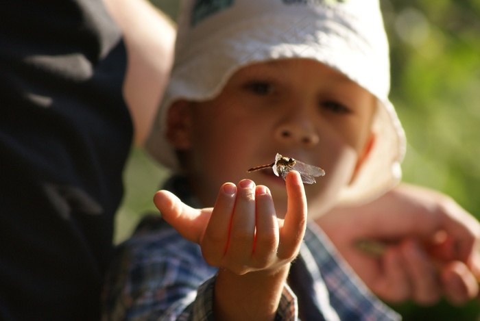男孩，儿童，小孩，男子，肖像