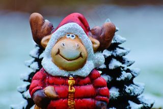 圣诞麋鹿，圣诞节，节日，来临