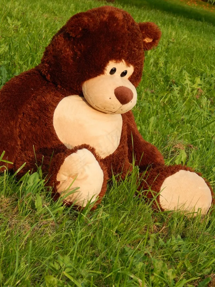 熊，公园，小狗，Stromovka