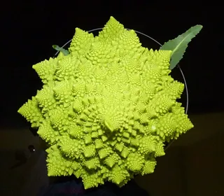 蔬菜，Romanesco，绿色，食品