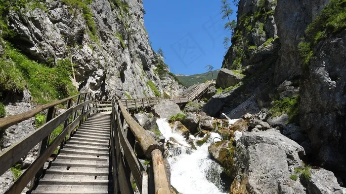 人行道，高山，离，湿地，徒步旅行，奥地利，性质