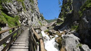 人行道，高山，离，湿地，徒步旅行，奥地利，性质