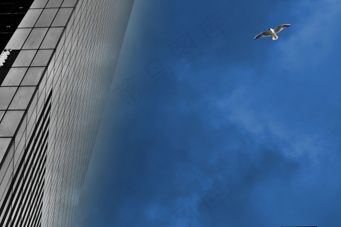 曼哈顿，布鲁克林，纽约，建筑，市中心