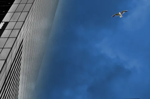 曼哈顿，布鲁克林，纽约，建筑，市中心