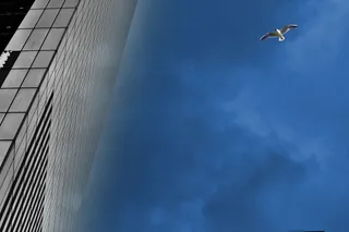 曼哈顿，布鲁克林，纽约，建筑，市中心