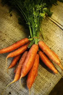 胡萝卜，食品，农场，有机