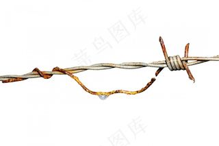 铁丝网，铁，串，铁锈，电线，围栏，安全