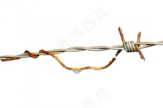 铁丝网，铁，串，铁锈，电线，围栏，安全