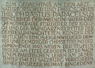 寄生虫，题词，医疗，后记