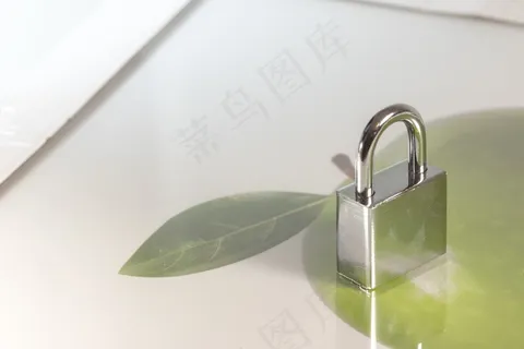 城堡,安全,挂锁,确保,金属,关闭 城堡,安全,挂锁,确保,金属,关闭