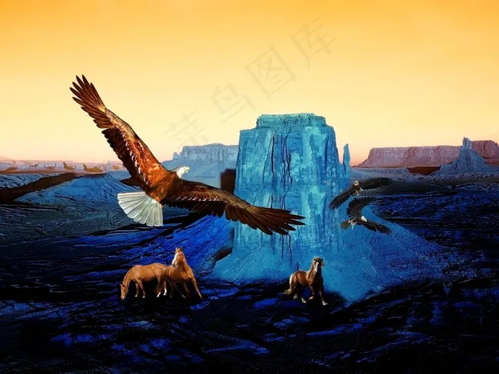 岩石，沙漠，干旱，景观，鸟，自然，天空