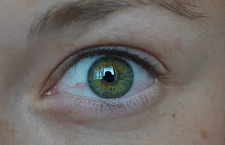 眼睛，绿色，细节，藻类