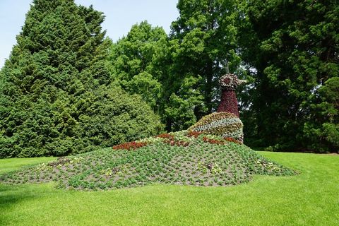 鲜花，孔雀，迈瑙，性质，美丽