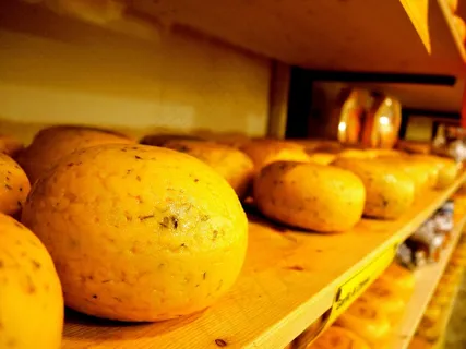 传统，奶酪，工厂，工厂，阿姆斯特丹