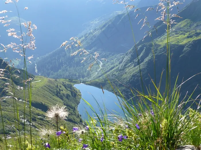 高山湖，湖，水，山，徒步旅行，景观