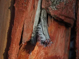 冰，冰层，水晶，冷