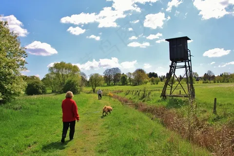徒步旅行，散步，景观，自然，远足，散步