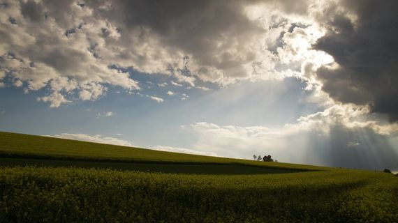云，日落，天空光束，云形式，地平线，场