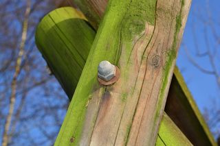 螺丝，母亲，铁，青苔，不锈钢，生锈，艾伦