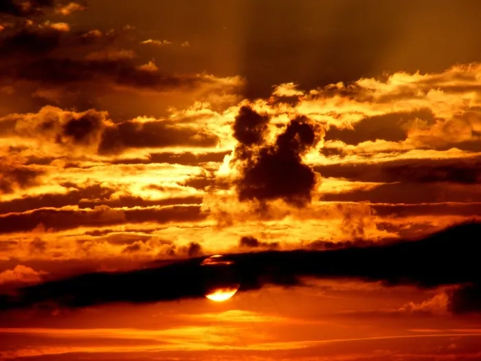 霞光,天空,都市夜景,卷积云,树,夕阳与太阳和云