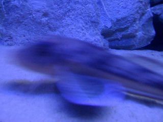 玩具,布料图,床单,洞穴溶洞,海洋公园,IMG_0466