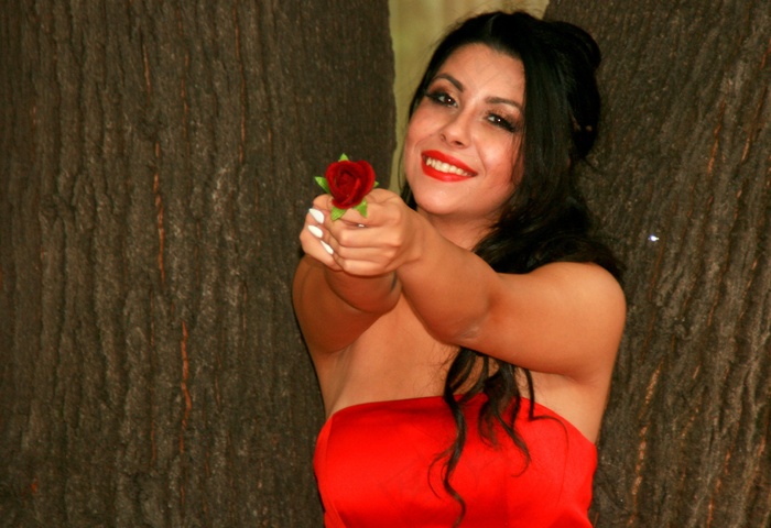 女孩，玫瑰，红色，，长长的头发，模型，花