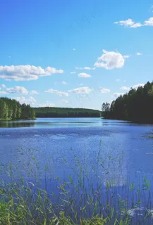 湖,景观,性质,水,水域,芬兰,休息 湖,景观,性质,水,水域,芬兰,休息