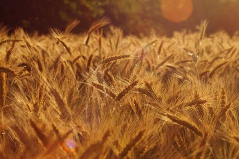 场，性质，，春天，夏天，服装，怀旧