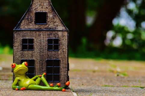 青蛙，在家，我的家就是我的城堡，有趣，有趣