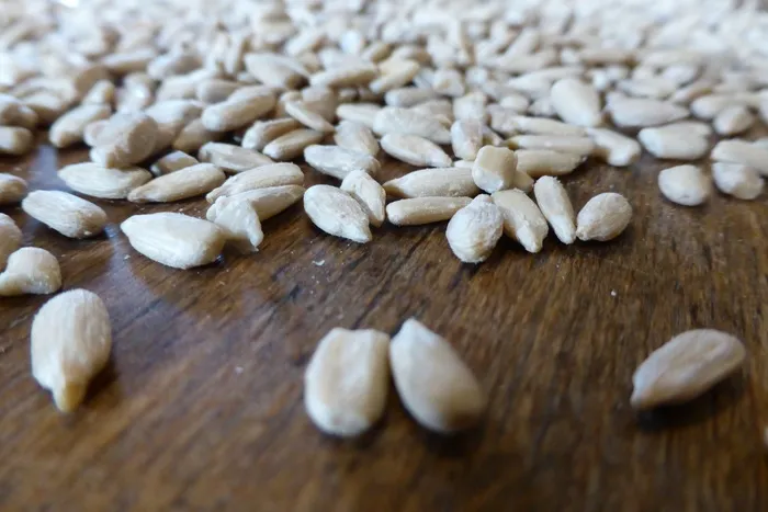 向日葵种子，谷物，种子，米色，关闭